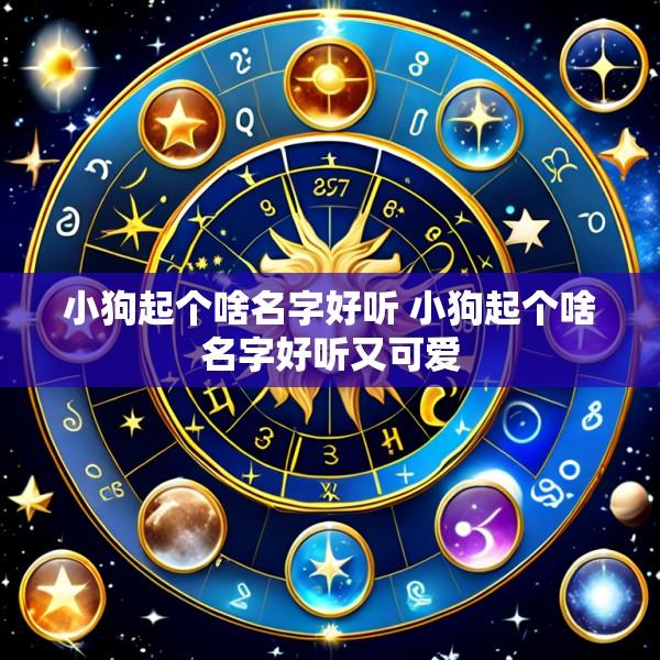 小狗起个啥名字好听 小狗起个啥名字好听又可爱