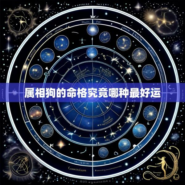 属相狗的命格究竟哪种最好运