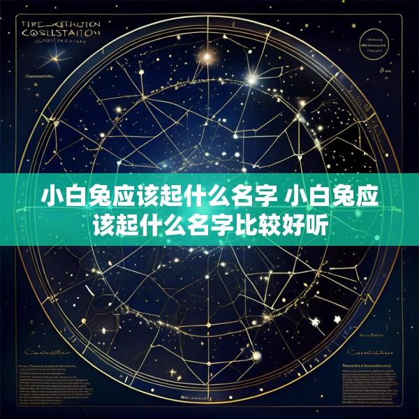 小白兔应该起什么名字 小白兔应该起什么名字比较好听