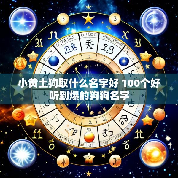 小黄土狗取什么名字好 100个好听到爆的狗狗名字