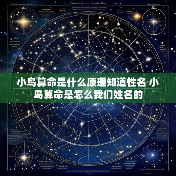 小鸟算命是什么原理知道性名 小鸟算命是怎么我们姓名的