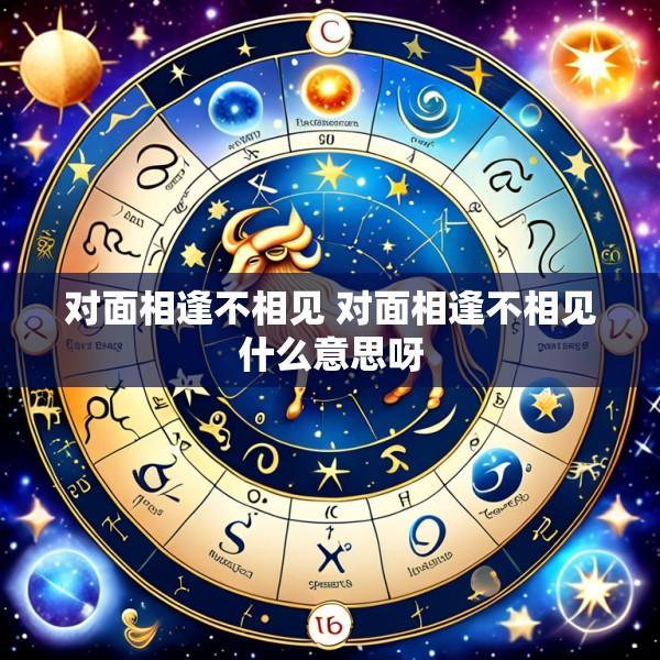 对面相逢不相见 对面相逢不相见什么意思呀