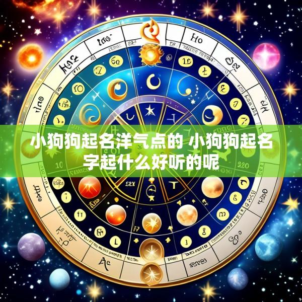 小狗狗起名洋气点的 小狗狗起名字起什么好听的呢