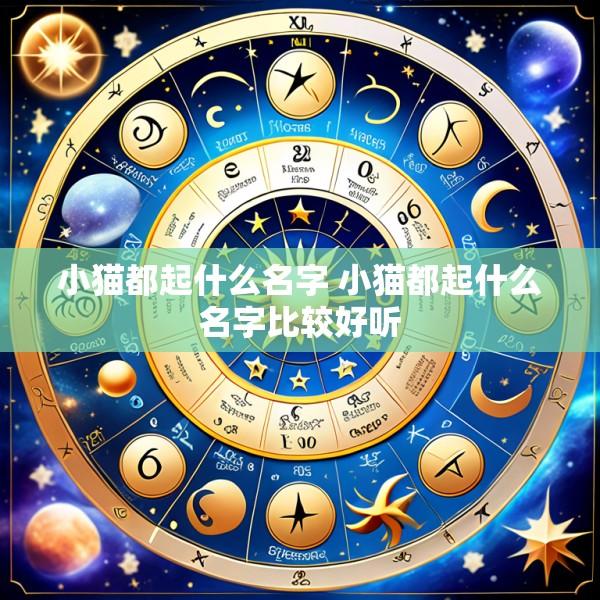 小猫都起什么名字 小猫都起什么名字比较好听