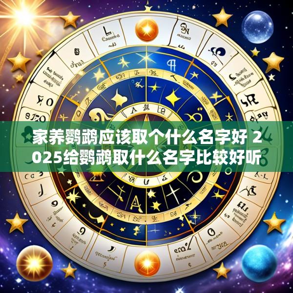 家养鹦鹉应该取个什么名字好 2025给鹦鹉取什么名字比较好听