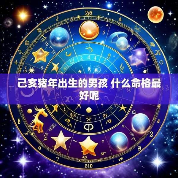 己亥猪年出生的男孩 什么命格最好呢