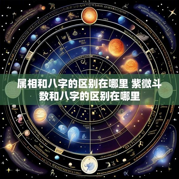 属相和八字的区别在哪里 紫微斗数和八字的区别在哪里