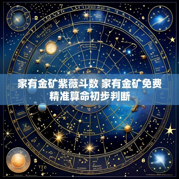 家有金矿紫薇斗数 家有金矿免费精准算命初步判断