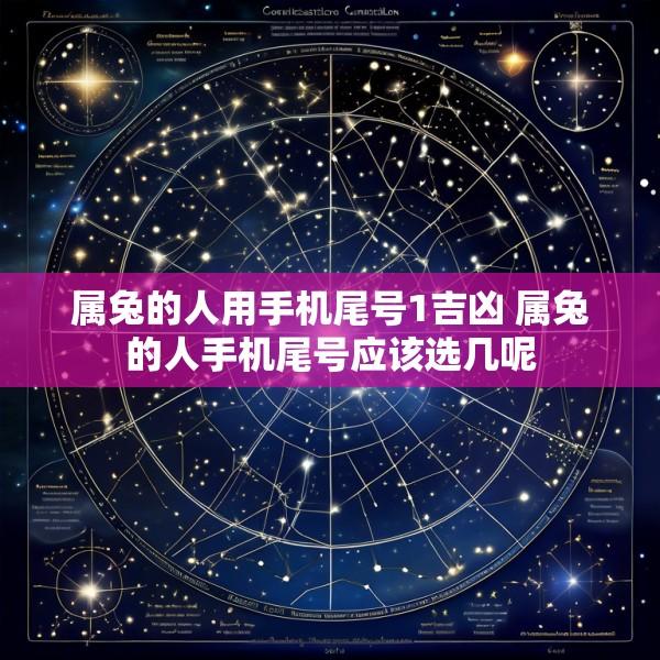 属兔的人用手机尾号1吉凶 属兔的人手机尾号应该选几呢