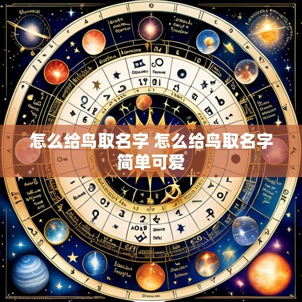 怎么给鸟取名字 怎么给鸟取名字简单可爱