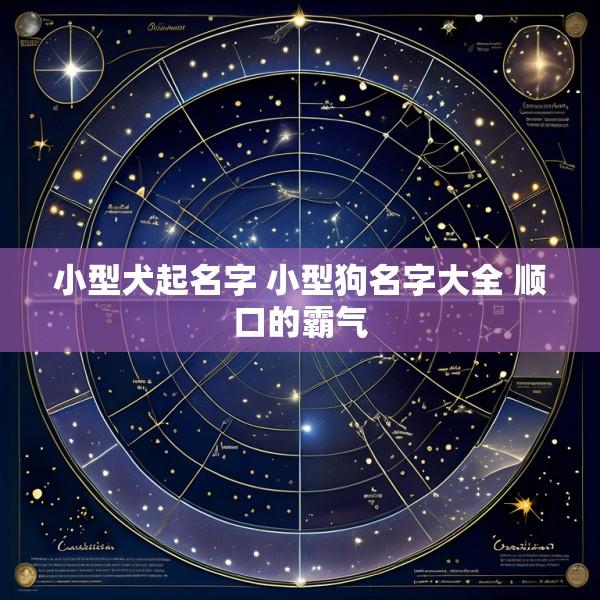 小型犬起名字 小型狗名字大全 顺口的霸气