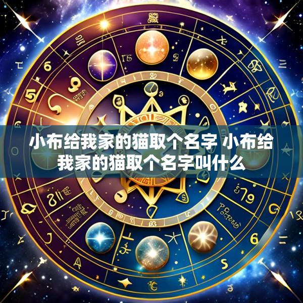 小布给我家的猫取个名字 小布给我家的猫取个名字叫什么