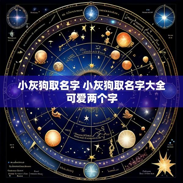 小灰狗取名字 小灰狗取名字大全可爱两个字