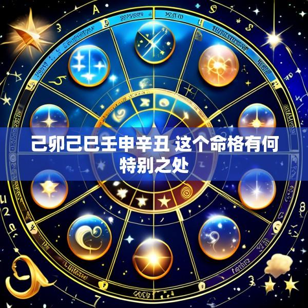 己卯己巳壬申辛丑 这个命格有何特别之处