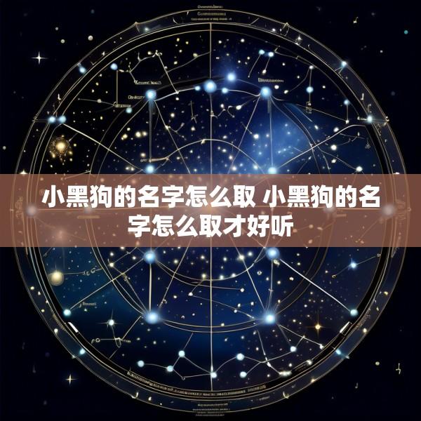 小黑狗的名字怎么取 小黑狗的名字怎么取才好听