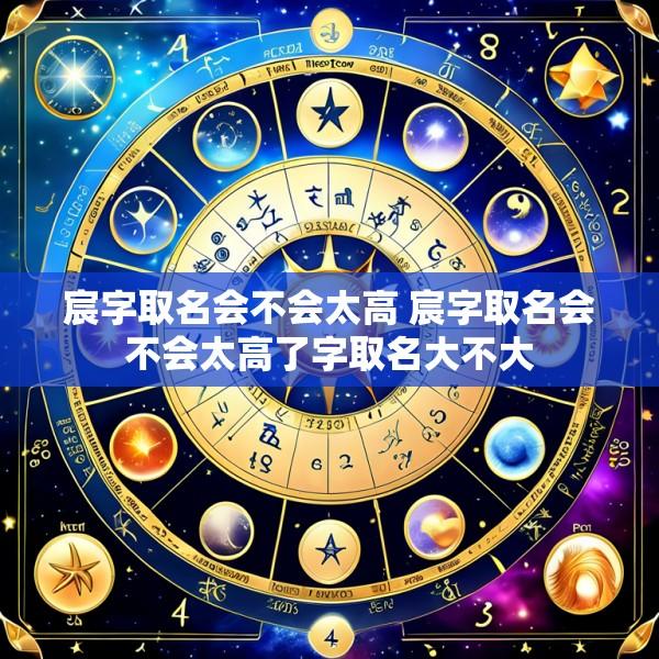 宸字取名会不会太高 宸字取名会不会太高了字取名大不大