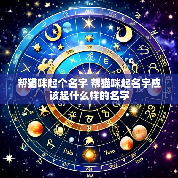 帮猫咪起个名字 帮猫咪起名字应该起什么样的名字