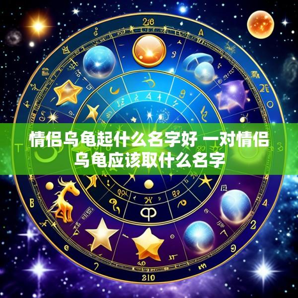情侣乌龟起什么名字好 一对情侣乌龟应该取什么名字