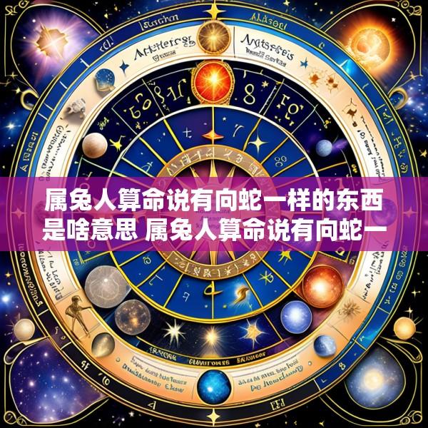 属兔人算命说有向蛇一样的东西是啥意思 属兔人算命说有向蛇一样的东西是啥意思呀