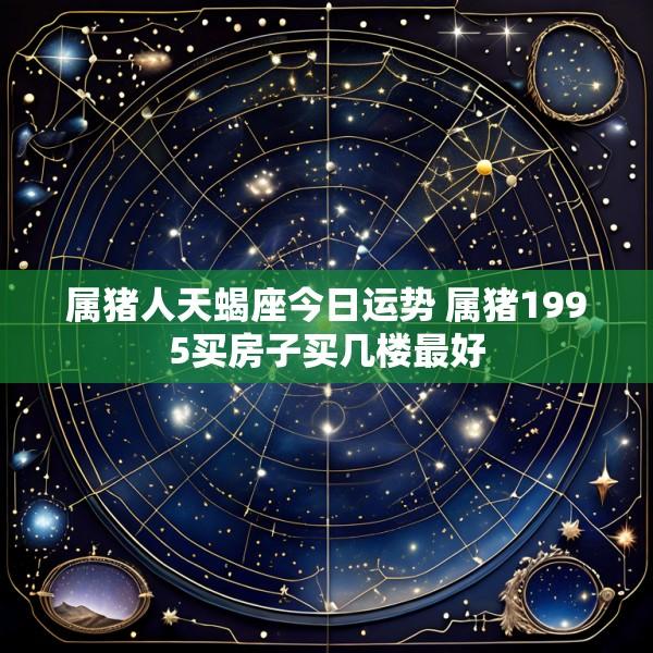 属猪人天蝎座今日运势 属猪1995买房子买几楼最好