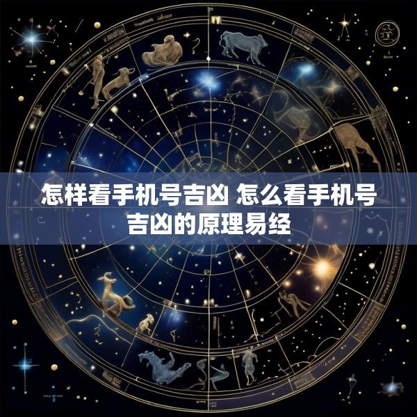 怎样看手机号吉凶 怎么看手机号吉凶的原理易经