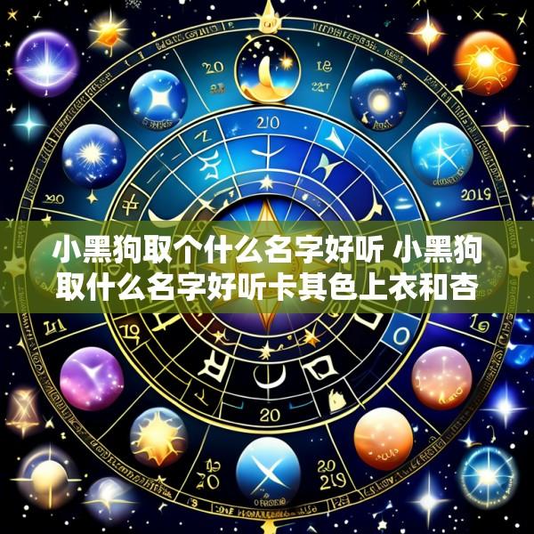 小黑狗取个什么名字好听 小黑狗取什么名字好听卡其色上衣和杏色裤子搭配好看吗