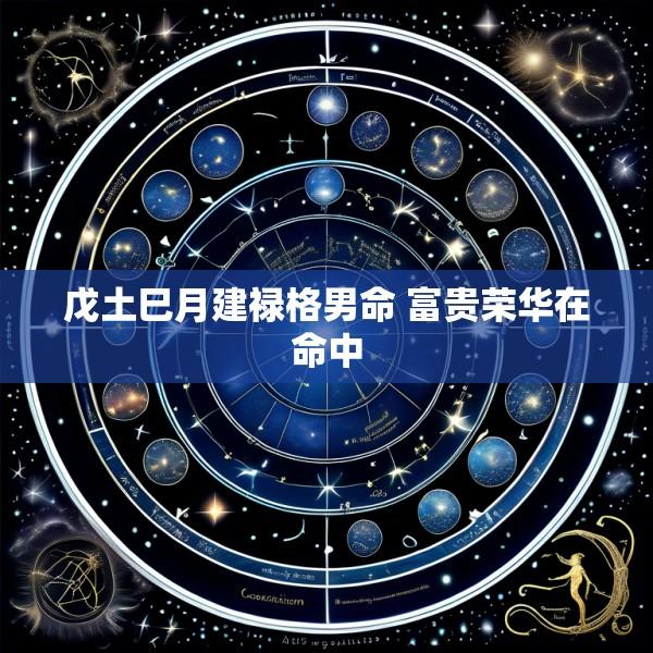 戊土巳月建禄格男命 富贵荣华在命中