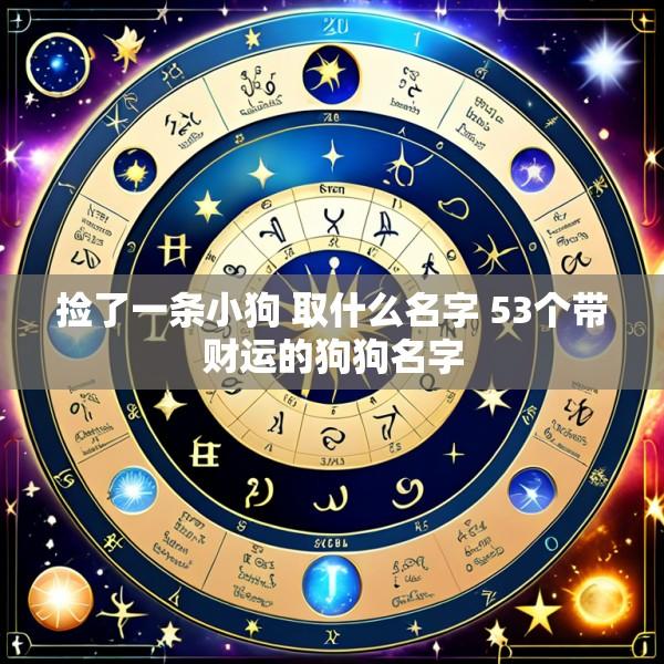 捡了一条小狗 取什么名字 53个带财运的狗狗名字