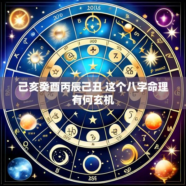 己亥癸酉丙辰己丑 这个八字命理有何玄机