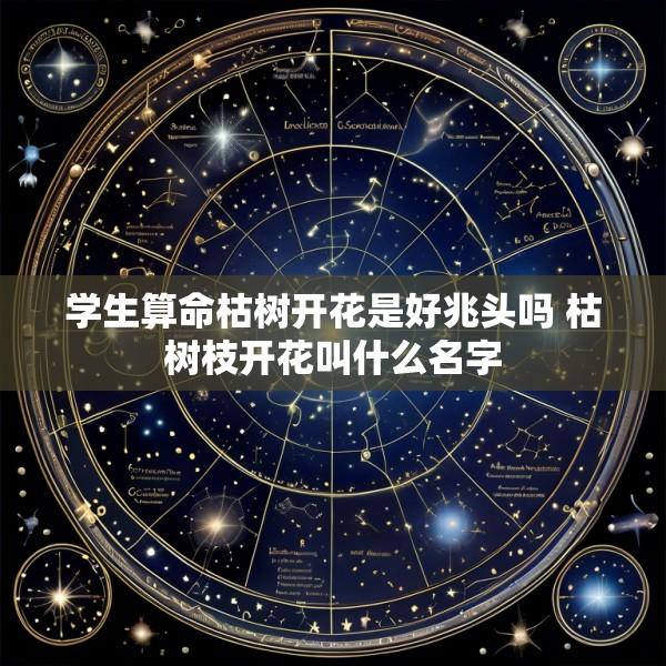 学生算命枯树开花是好兆头吗 枯树枝开花叫什么名字