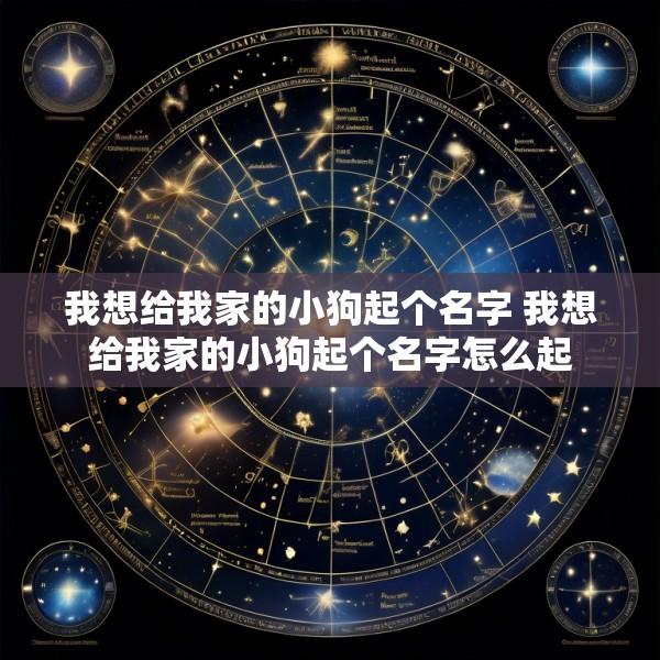 我想给我家的小狗起个名字 我想给我家的小狗起个名字怎么起