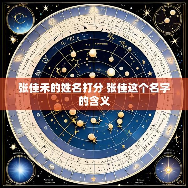 张佳禾的姓名打分 张佳这个名字的含义