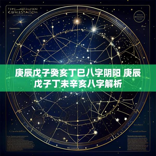 庚辰戊子癸亥丁巳八字阴阳 庚辰戊子丁未辛亥八字解析