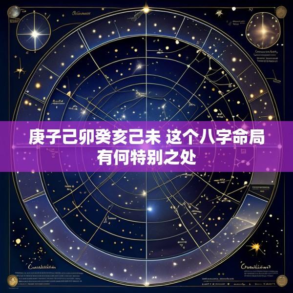 庚子己卯癸亥己未 这个八字命局有何特别之处