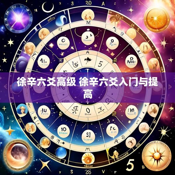 徐辛六爻高级 徐辛六爻入门与提高