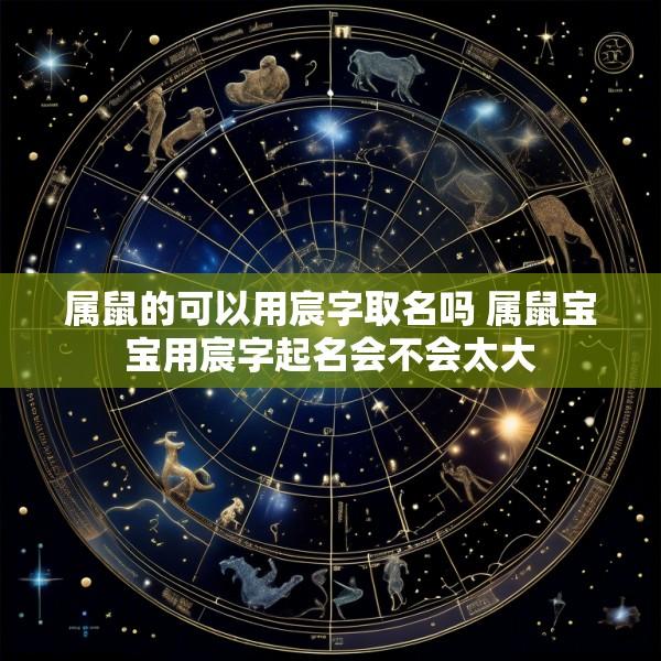 属鼠的可以用宸字取名吗 属鼠宝宝用宸字起名会不会太大