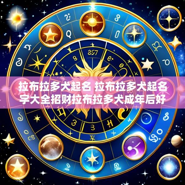 拉布拉多犬起名 拉布拉多犬起名字大全招财拉布拉多犬成年后好斗吗