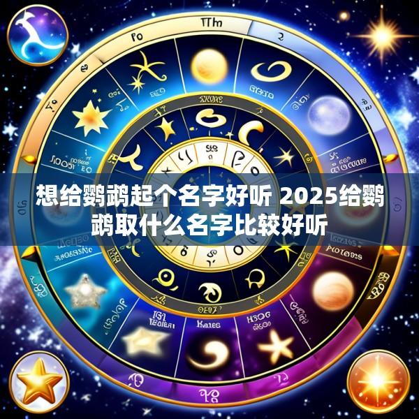 想给鹦鹉起个名字好听 2025给鹦鹉取什么名字比较好听