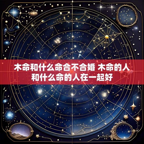 木命和什么命合不合婚 木命的人和什么命的人在一起好