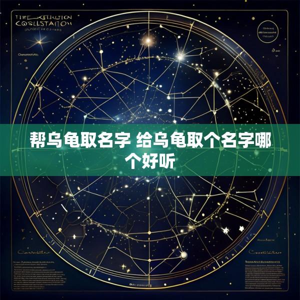 帮乌龟取名字 给乌龟取个名字哪个好听
