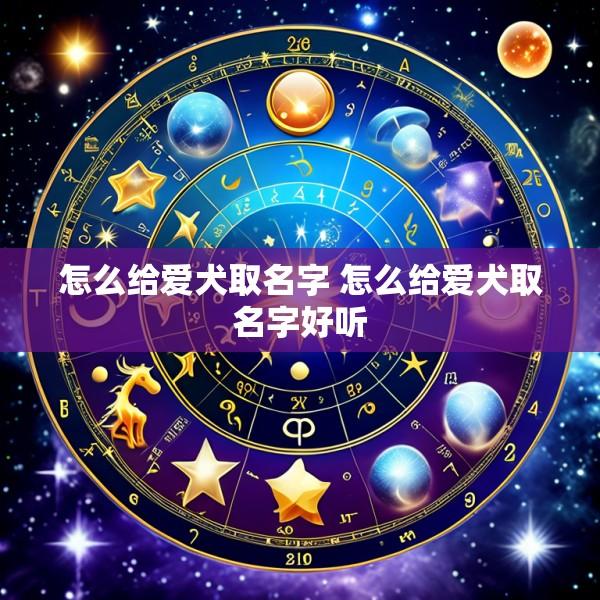 怎么给爱犬取名字 怎么给爱犬取名字好听