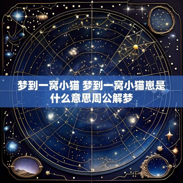梦到一窝小猫 梦到一窝小猫崽是什么意思周公解梦