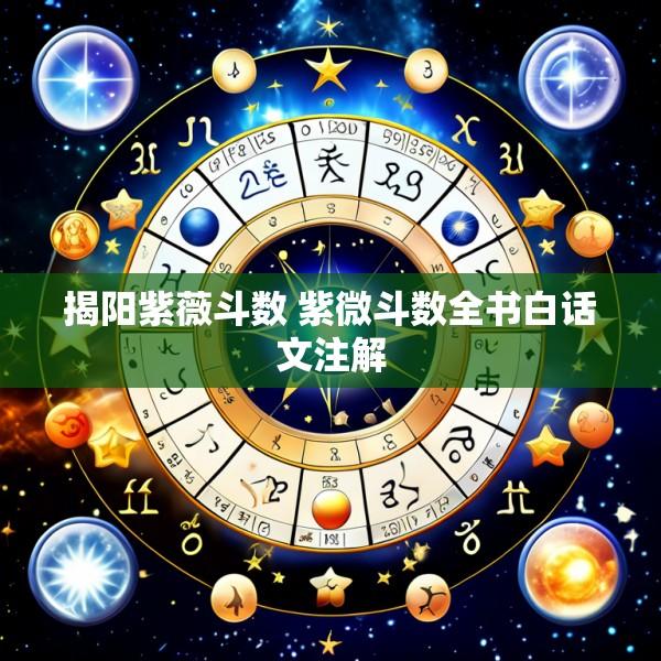 揭阳紫薇斗数 紫微斗数全书白话文注解