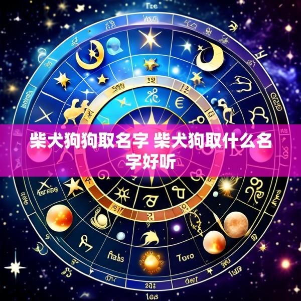 柴犬狗狗取名字 柴犬狗取什么名字好听