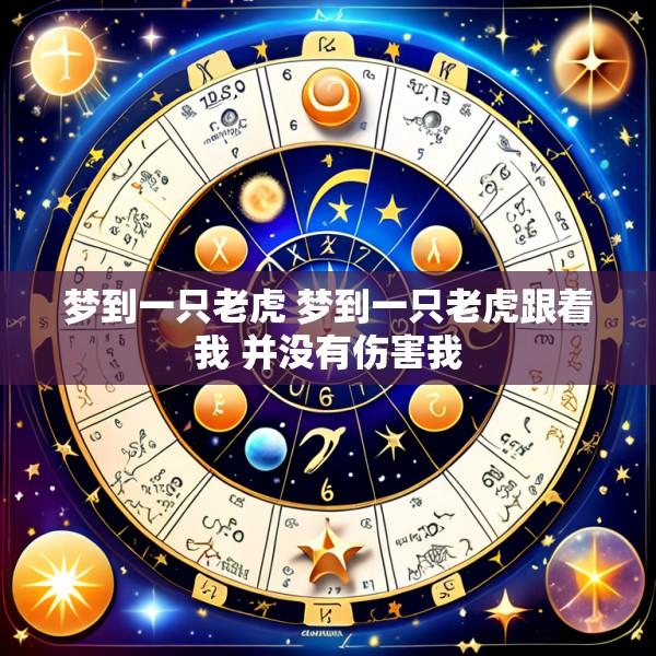 梦到一只老虎 梦到一只老虎跟着我 并没有伤害我