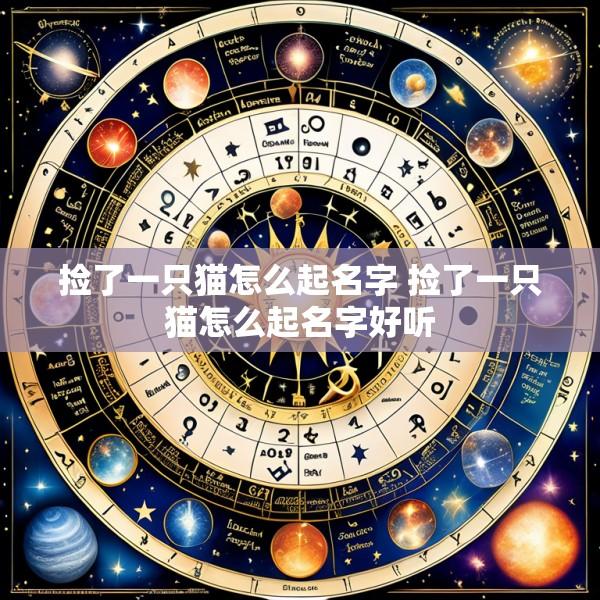 捡了一只猫怎么起名字 捡了一只猫怎么起名字好听