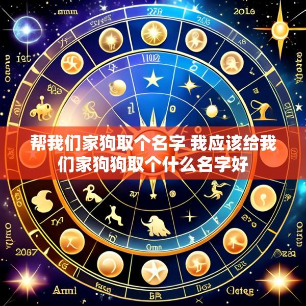 帮我们家狗取个名字 我应该给我们家狗狗取个什么名字好