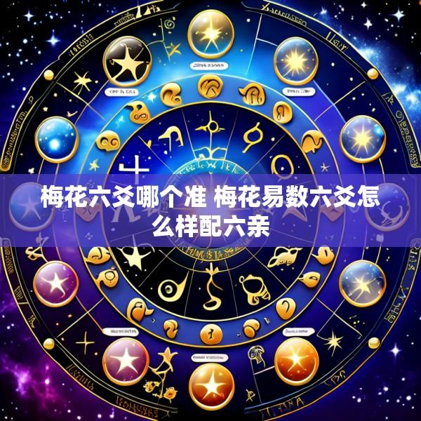 梅花六爻哪个准 梅花易数六爻怎么样配六亲