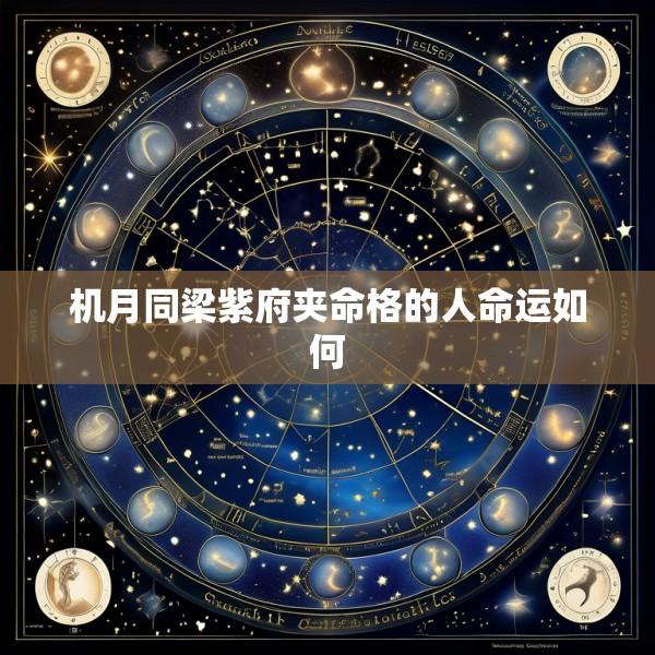 机月同梁紫府夹命格的人命运如何