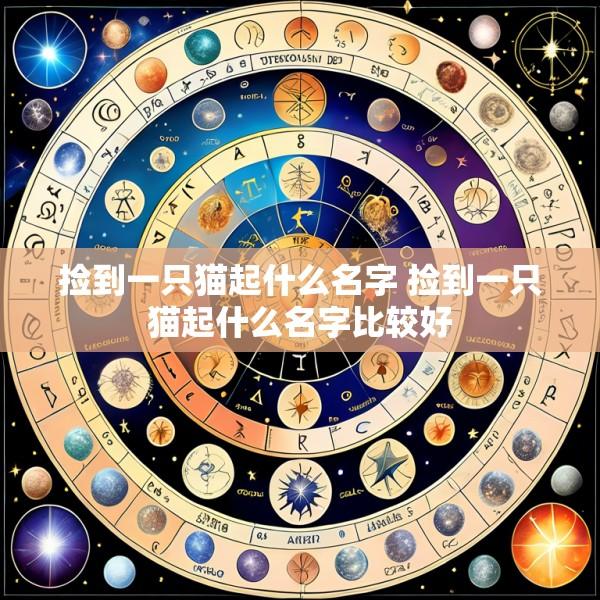 捡到一只猫起什么名字 捡到一只猫起什么名字比较好